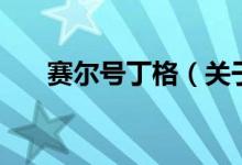 賽爾號丁格（關于賽爾號丁格的介紹）
