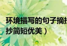 環(huán)境描寫(xiě)的句子摘抄簡(jiǎn)短（環(huán)境描寫(xiě)的句子摘抄簡(jiǎn)短優(yōu)美）