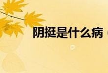 陰挺是什么?。幫κ鞘裁匆馑迹?class=