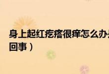 身上起紅疙瘩很癢怎么辦是什么?。ㄉ砩掀鸺t疙瘩很癢怎么回事）